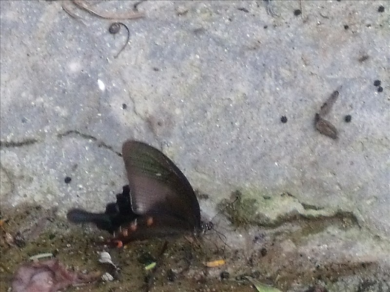 Ϫ2010.08.31 118.jpg