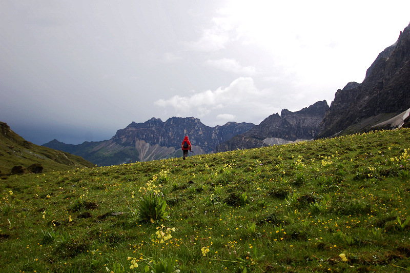 dsc_8878.jpg