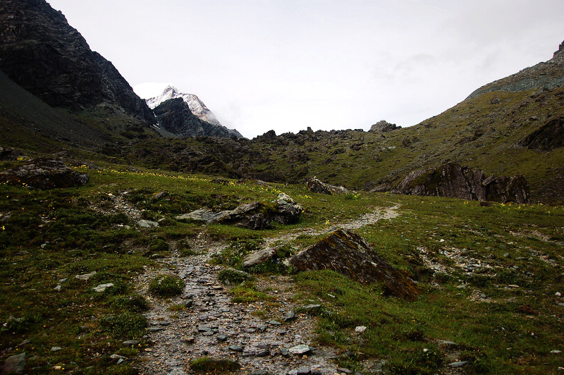 dsc_8896.jpg