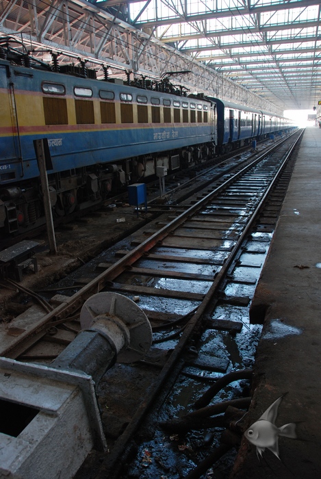 12201139.jpg