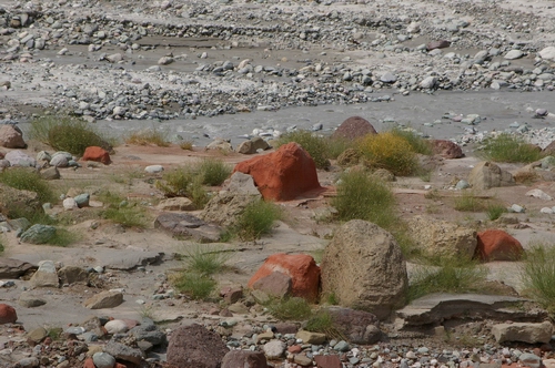 imgp9694.jpg