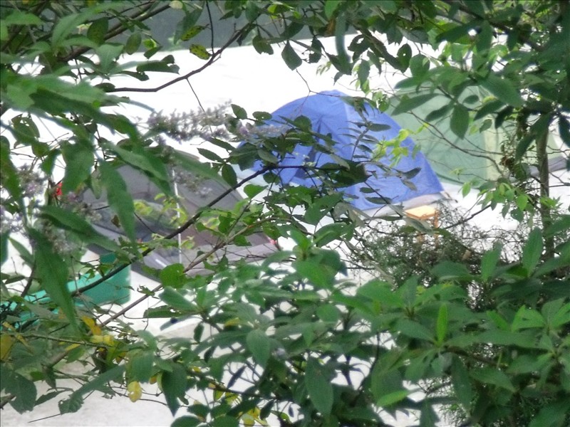 Ϫ2010.08.31 147.jpg