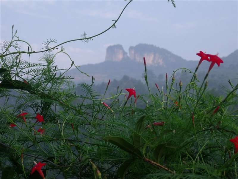 Ϫ2010.08.31 151.jpg