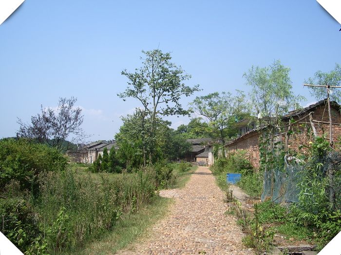 imgp0322.jpg