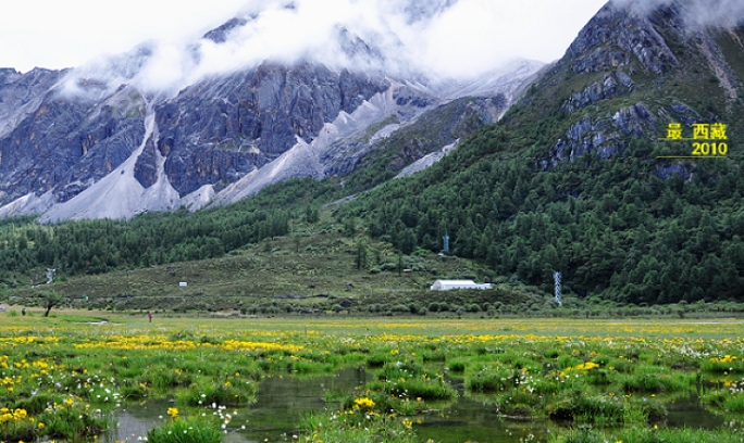 dsc_1095.jpg