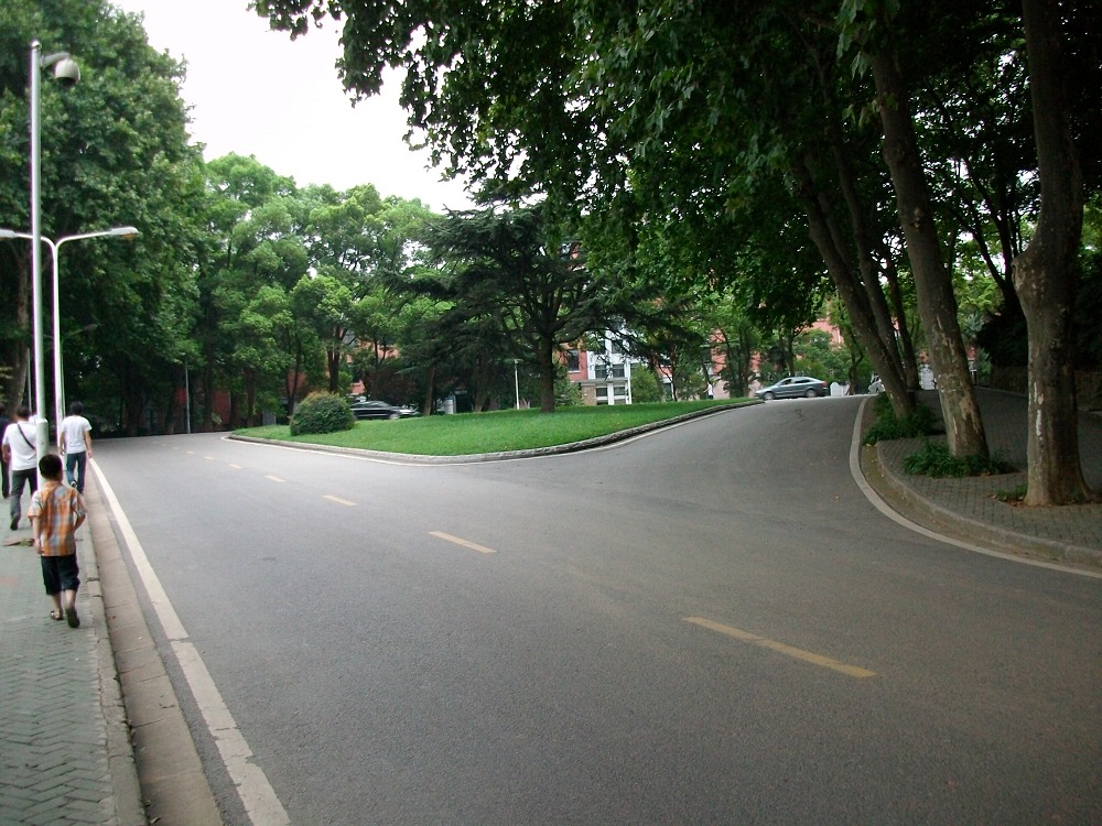 alim4177.jpg