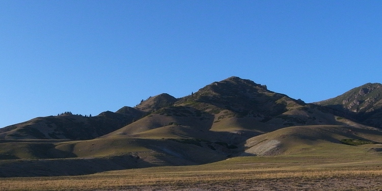 f7.jpg
