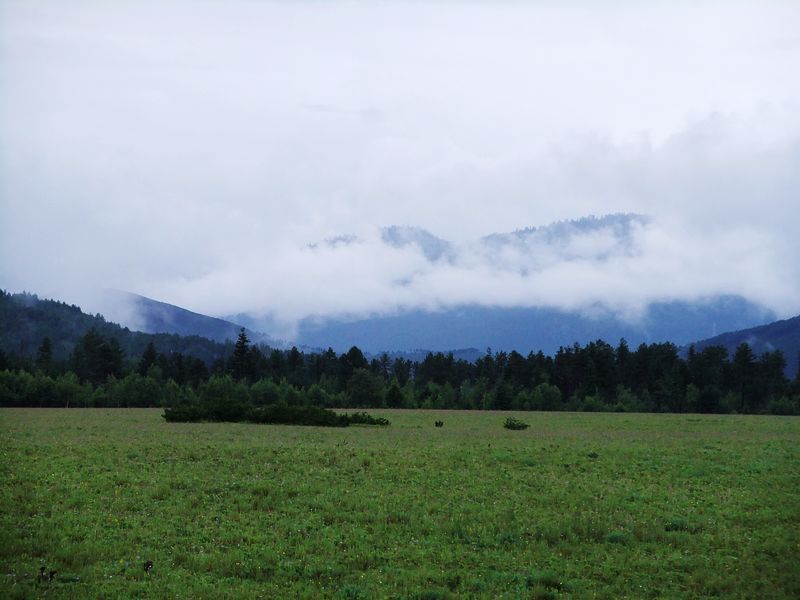 dscf2560.jpg