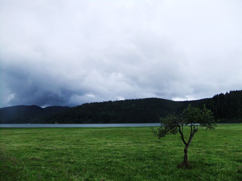 dscf2631.jpg