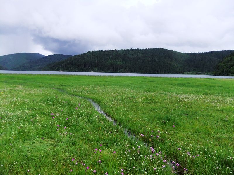 dscf2643.jpg
