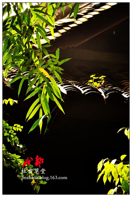 2010982242012400.jpg