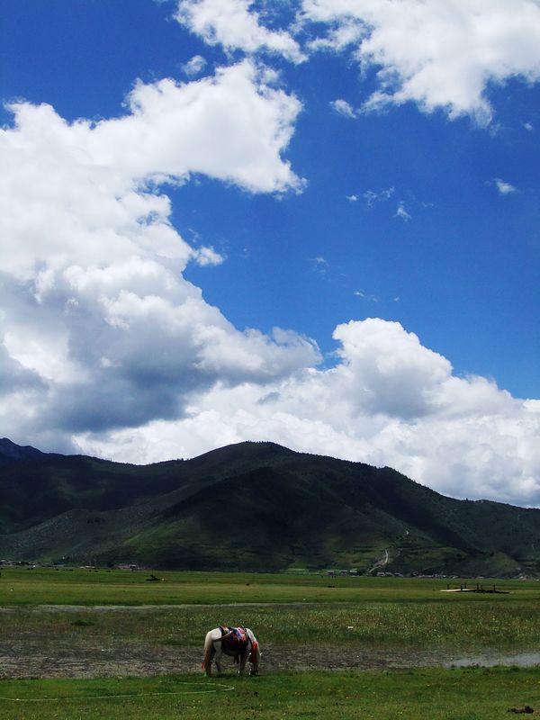 dscf2656.jpg