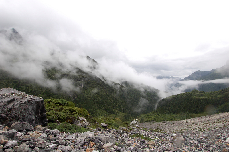dsc_8917.jpg