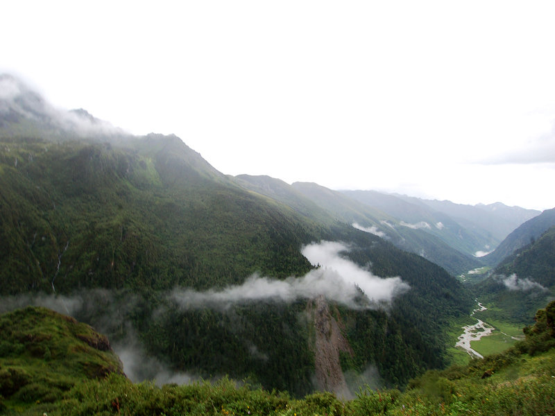 dsc_8925.jpg