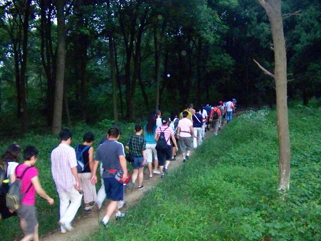 100_2464.jpg