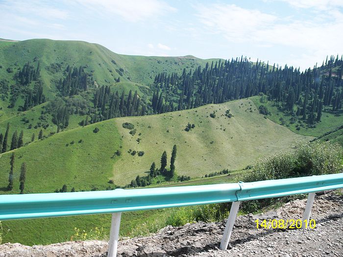 neo_img_100_1596.jpg