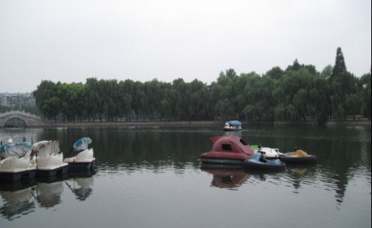 02.jpg