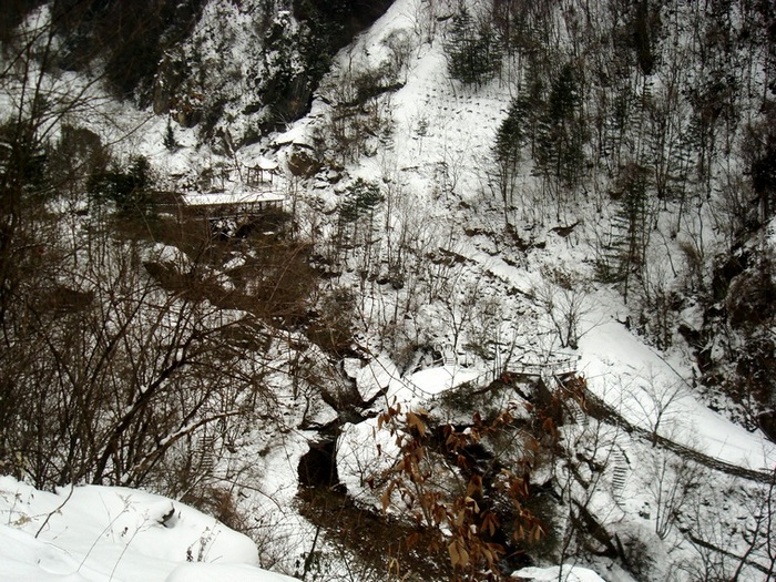 dsc06822.jpg