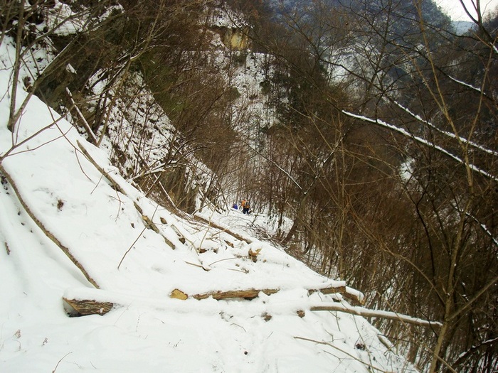 dsc06823.jpg