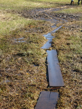 dsc07542_СС.jpg