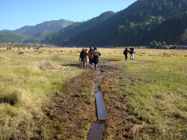 dsc07541_СС.jpg