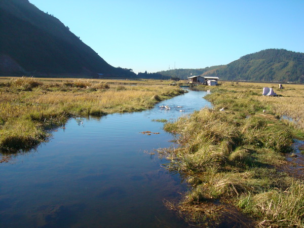 dsc07534_СС.jpg