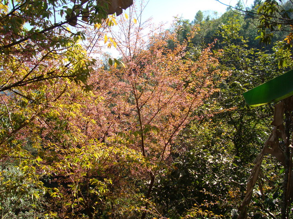 dsc07552_СС.jpg