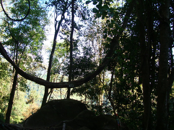 dsc07557_СС.jpg