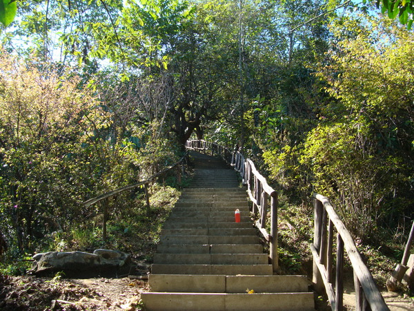 dsc07553_СС.jpg