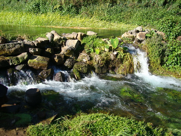 dsc07579_СС.jpg