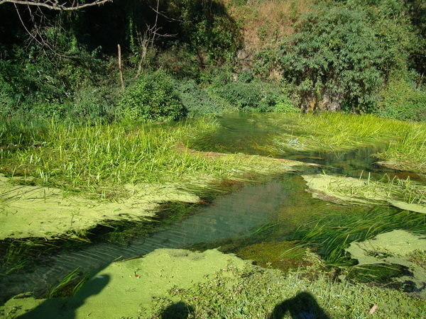 dsc07578_СС.jpg
