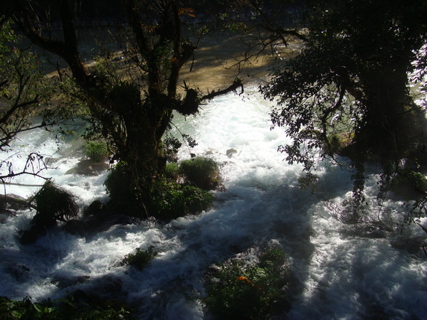dsc07582_СС.jpg
