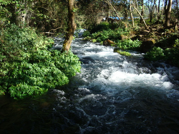 dsc07585_СС.jpg