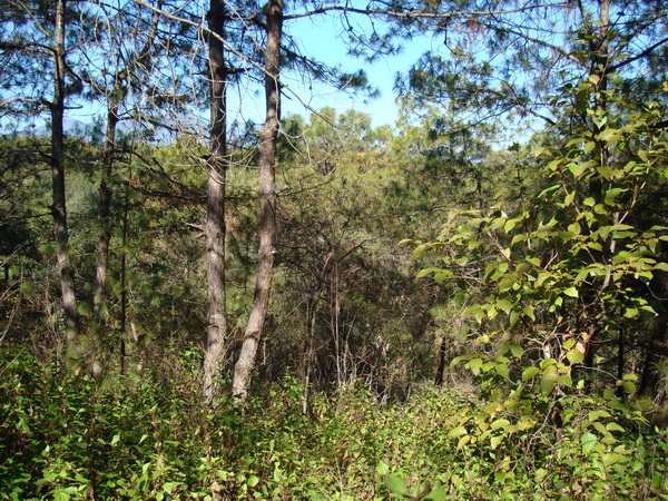 dsc07599_СС.jpg