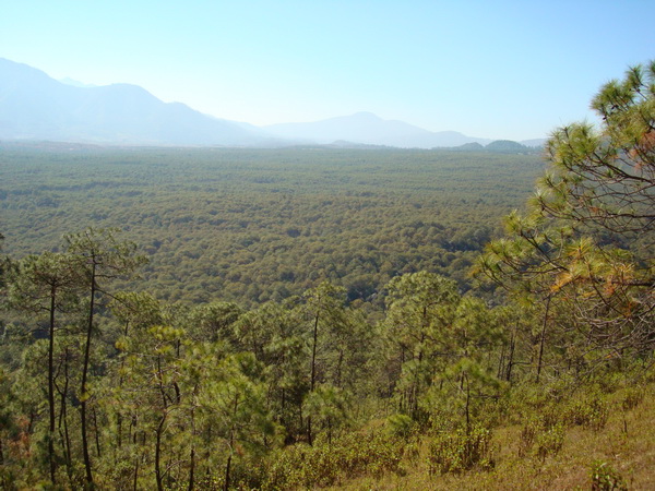 dsc07600_СС.jpg