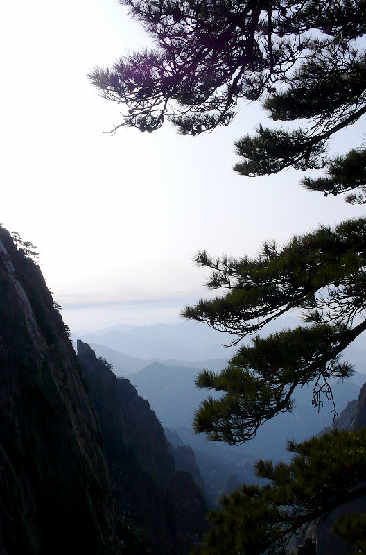 p1100044.jpg
