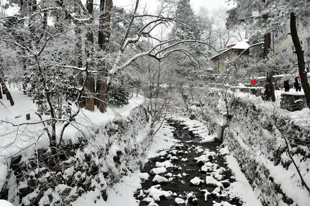 dsc_4091.jpg
