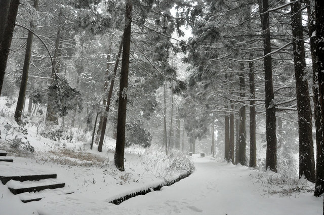 dsc_4174.jpg
