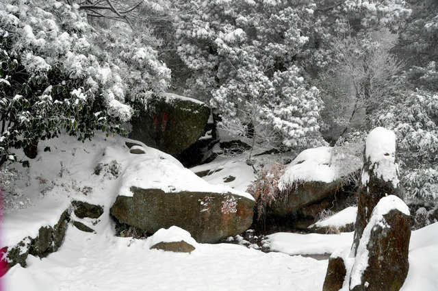 dsc_4150.jpg