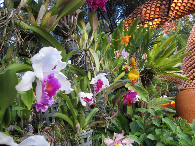 img_5970.jpg