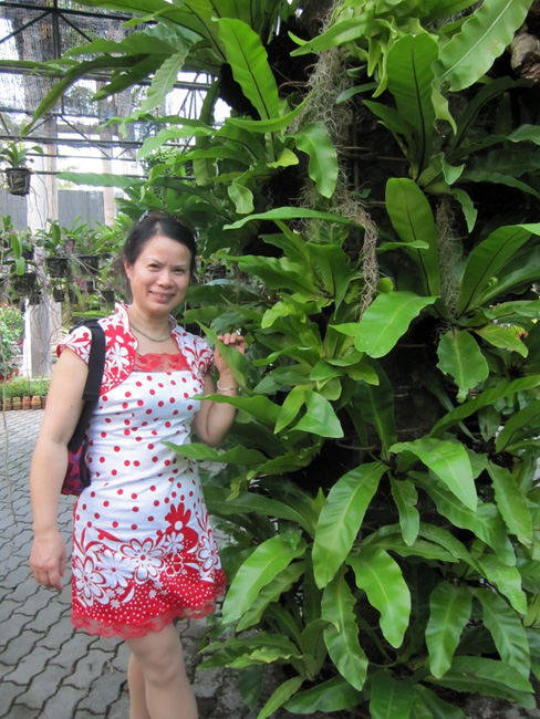 img_5995.jpg
