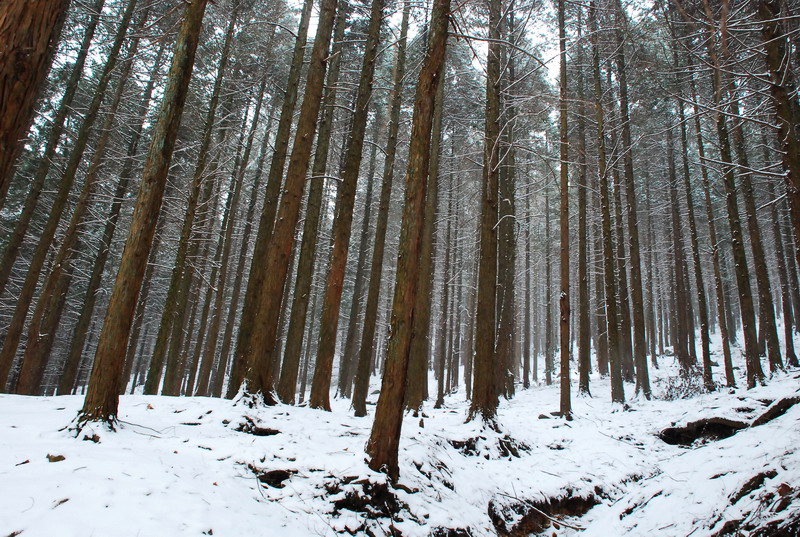 dsc_0140.jpg