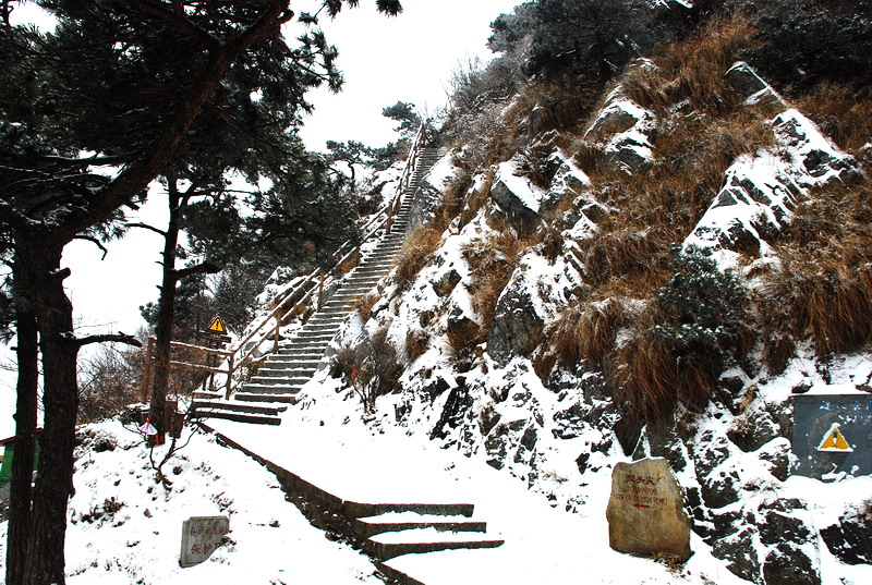 dsc_0144.jpg