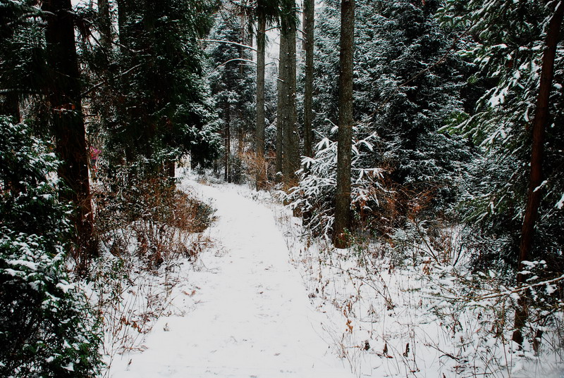 dsc_0179.jpg