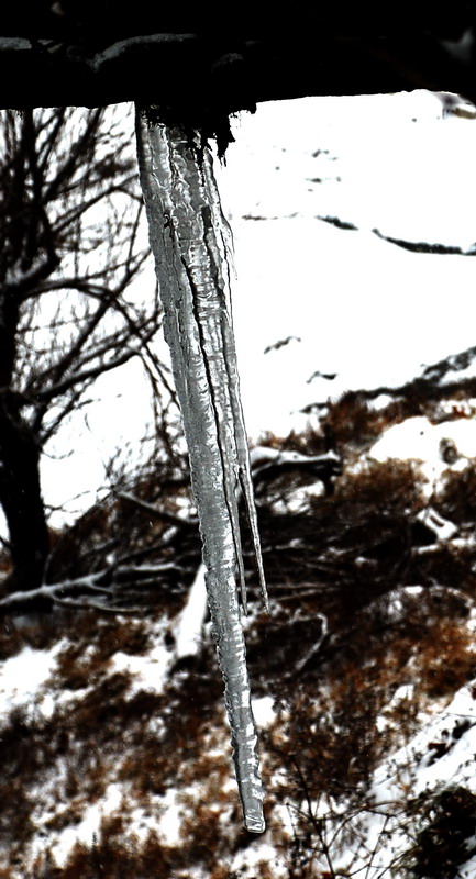 dsc_0277.jpg
