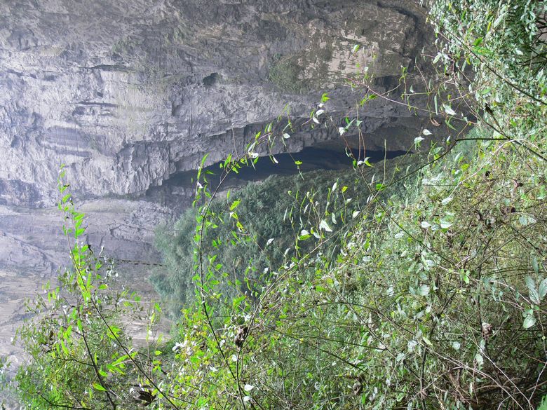 p1130201.jpg