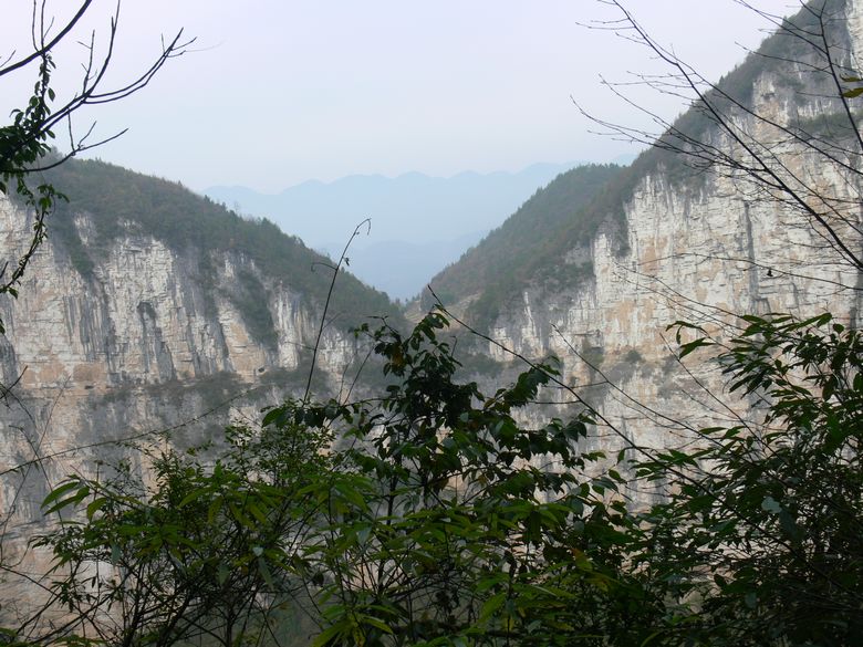 p1130205.jpg