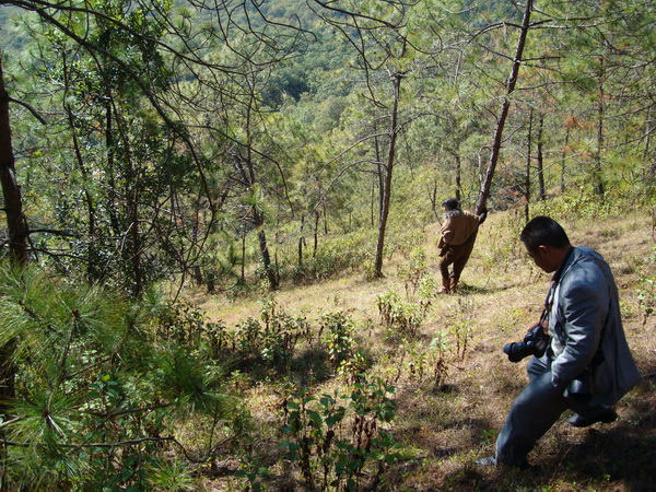 dsc07602_СС.jpg