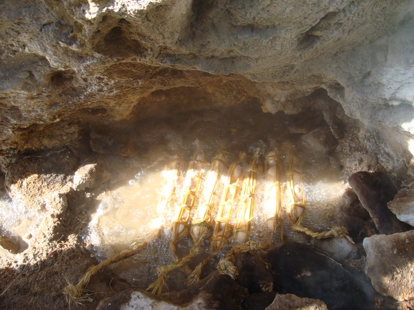 dsc07626_СС.jpg