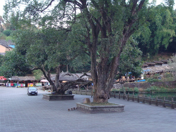 dsc07653_СС.jpg